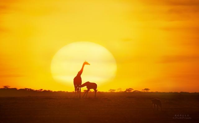 尼康d850完全摄影指南,尼康d850大变焦镜头推荐