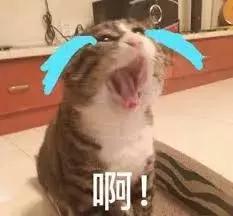 华女返澳遭海关拦检，从日本买的爱马仕被罚2000刀！