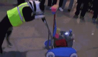 让你心动的搞笑图片,搞笑gif笑死人的动图