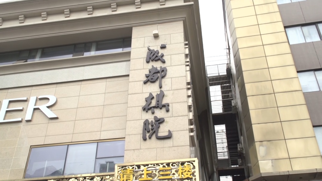 「教育社区」“棋观世界，培育非凡人生”走进成都棋院