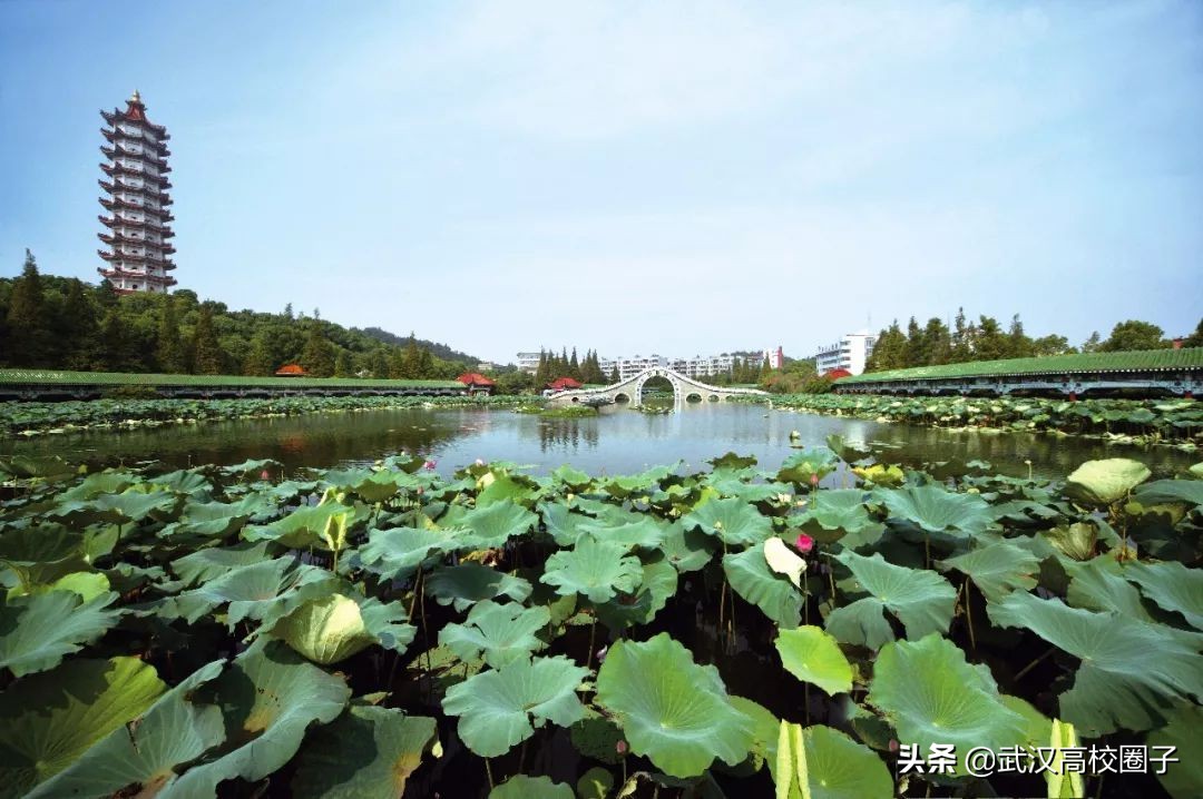 鄂州属于一个宜居的城市吗,鄂州是不是武汉的一个城市