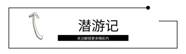 全球top是什么意思啊,全球top的作品