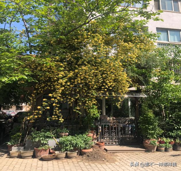 海淀区中关村学区房分析,海淀区中关村学区房