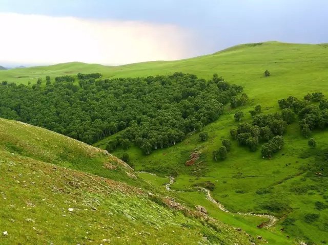 内蒙呼和浩特市内游,五一内蒙古呼和浩特及周边游