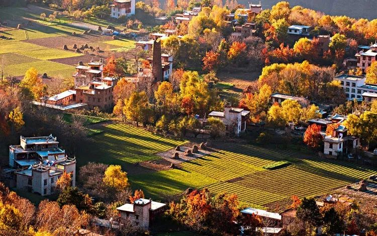 1011月错过它们,等于错过整个秋天!人少清净,随手一拍都是大片