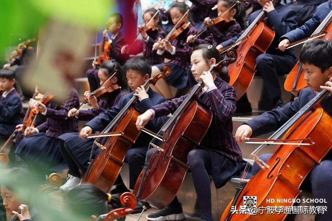 2个牛津，1个剑桥，3个帝国理工面邀，宁波这所学校凭什么这么牛