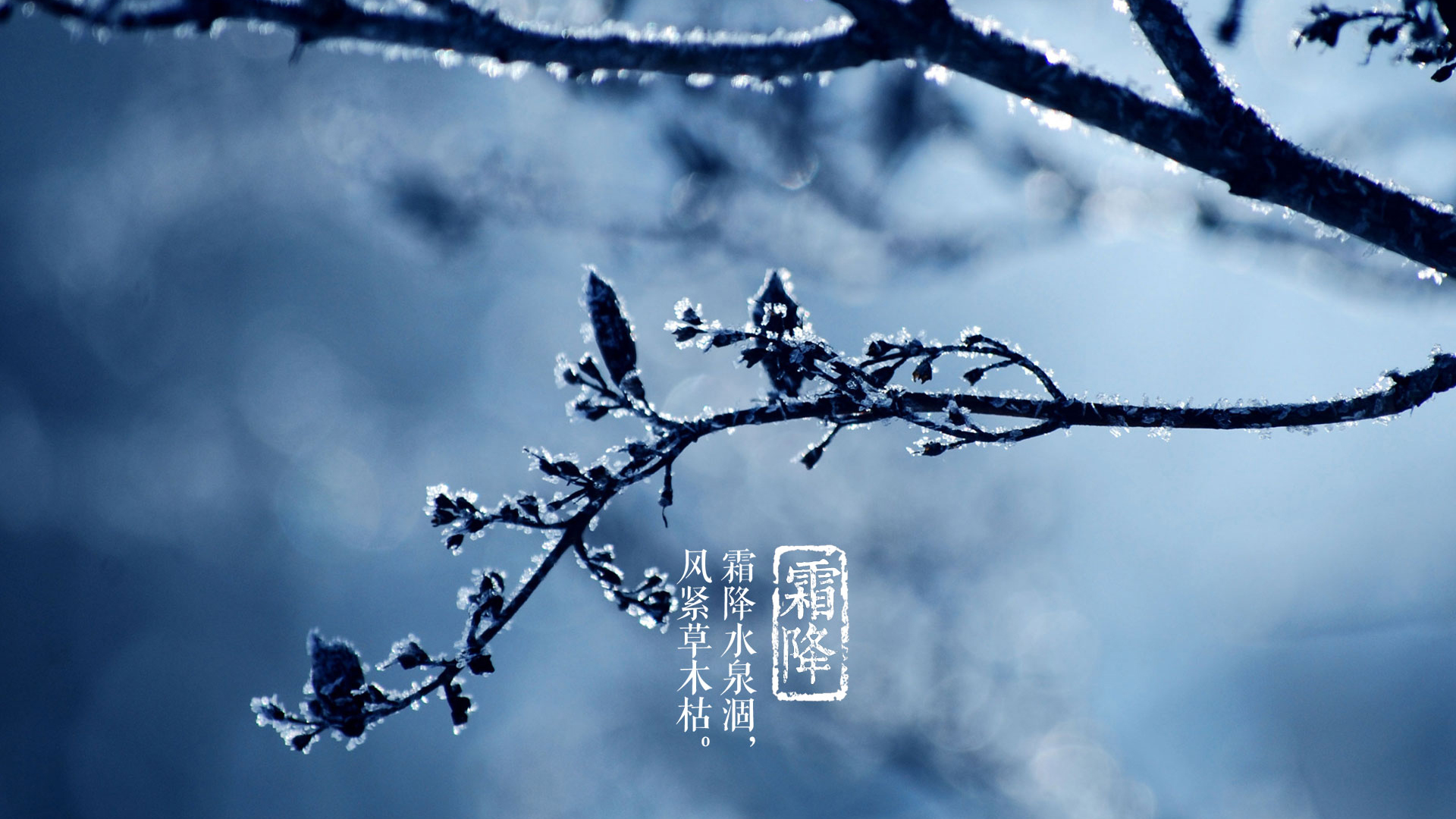 霜降养生：保暖从脚和胃开始推荐3款养胃餐