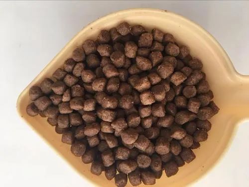 猫狗吃什么补充营养便宜,怎么配制猫狗都吃的食物