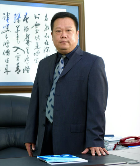 益阳电容器巨头,益阳电容器大王