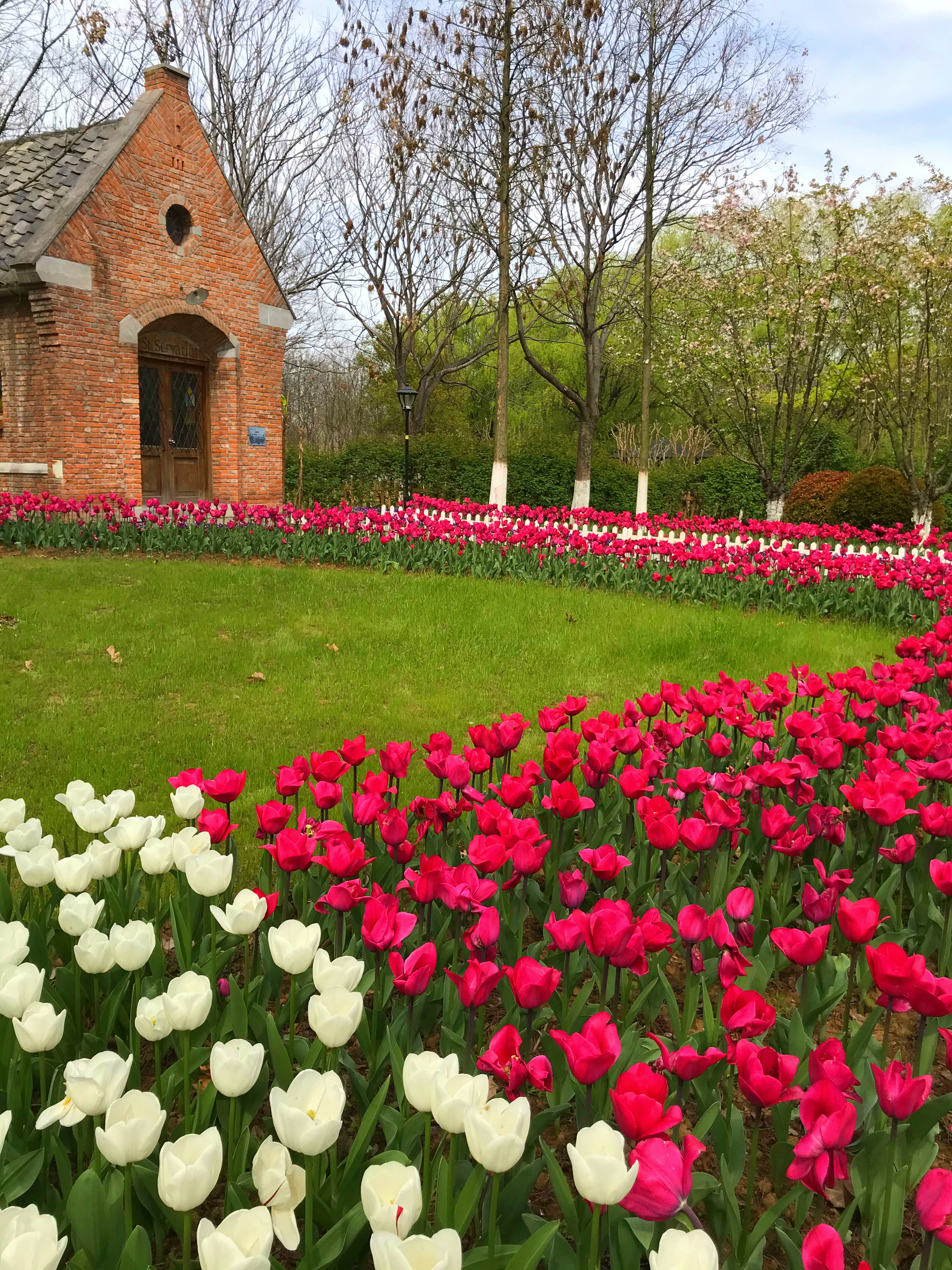 荷兰风情花园,南京绿博园的美丽