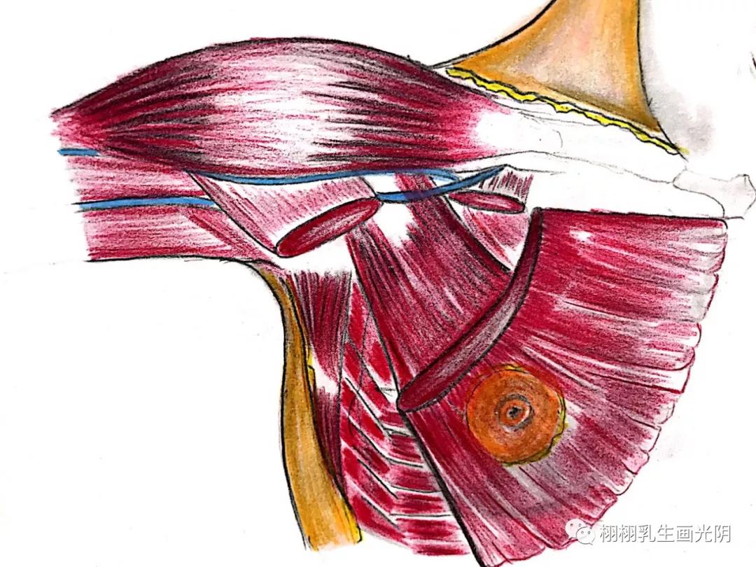 最贵的房子内部图片,最贵的房子内部
