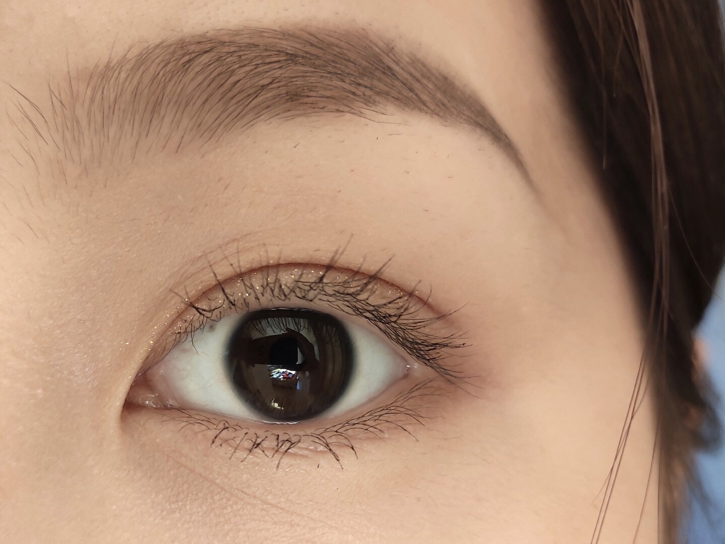 赫莲娜睫毛膏和兰蔻天鹅颈哪个好,兰蔻广角羽扇防晕染天鹅颈睫毛膏