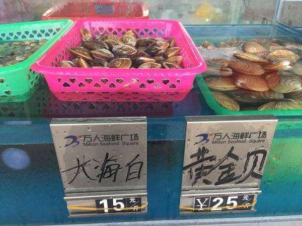 海南旅游海口到三亚自由行,从海口到三亚感受海南的无限魅力