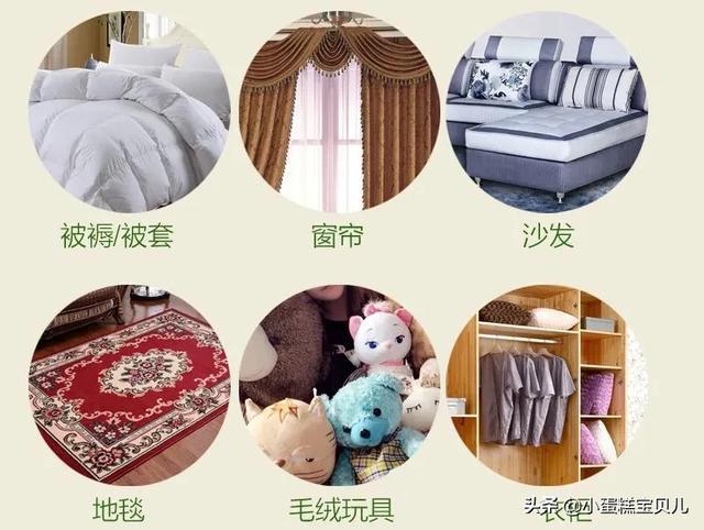 床单不洗螨虫成千上万,床单30天不洗竟螨虫成堆