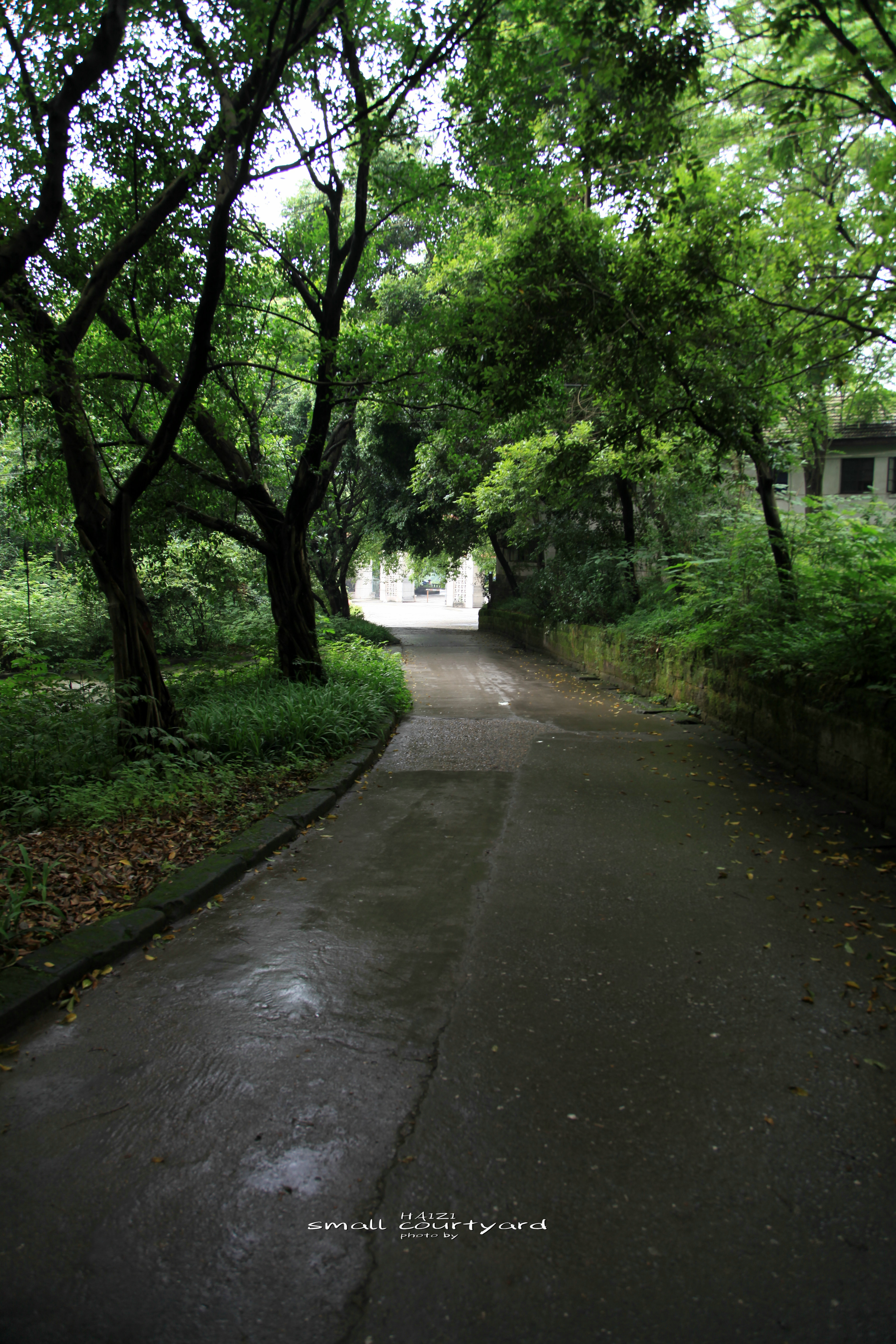 北碚区原三线建设老厂区,北碚机械工业部第三设计院