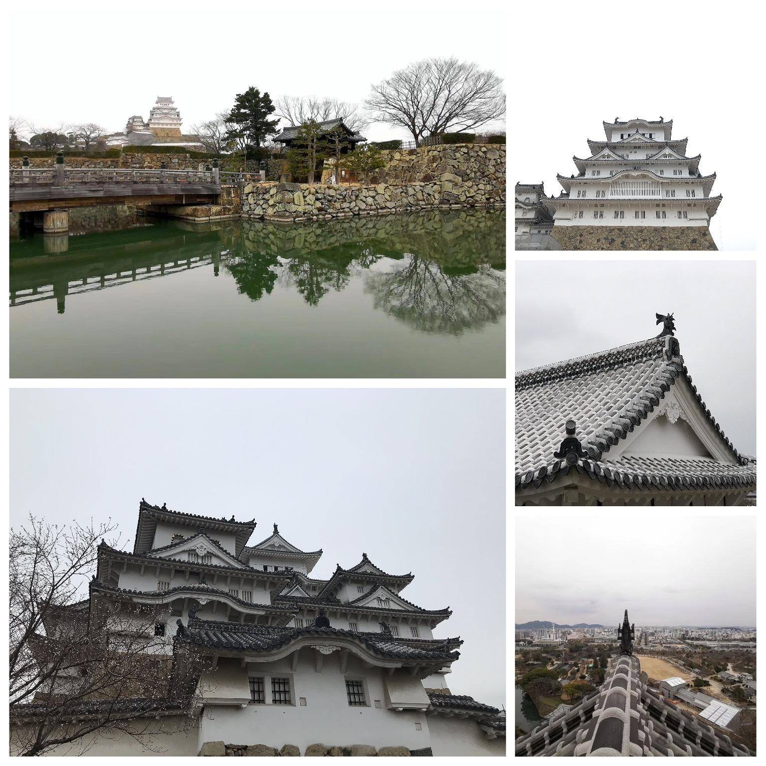 日本关东线8日游攻略,日本关东7天自由行攻略