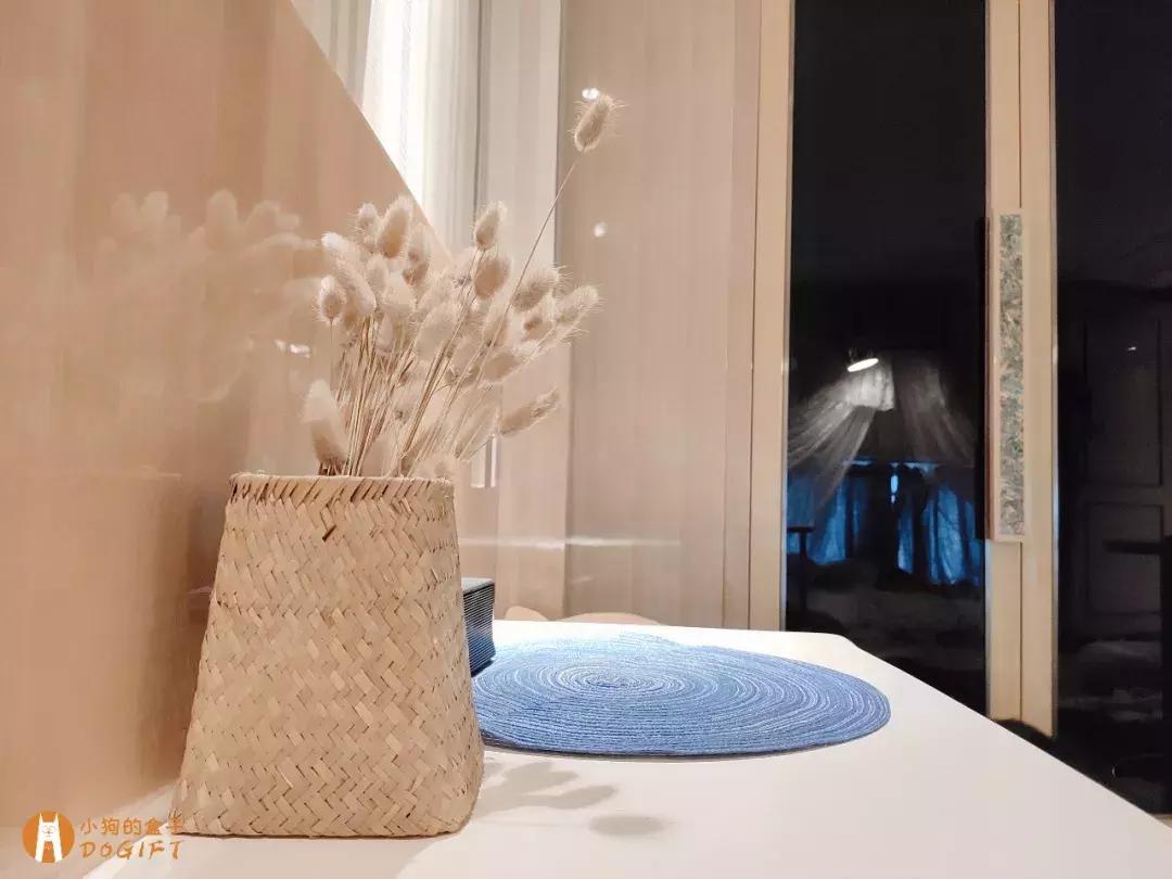 马克深圳最秀狗咖