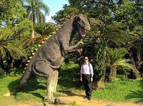 伍德苏铁：寻妻百年的铁树鳏夫，全球仅一棵，克隆的树苗价值15万