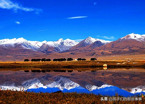 青春的迷茫电影,青春的迷茫小说