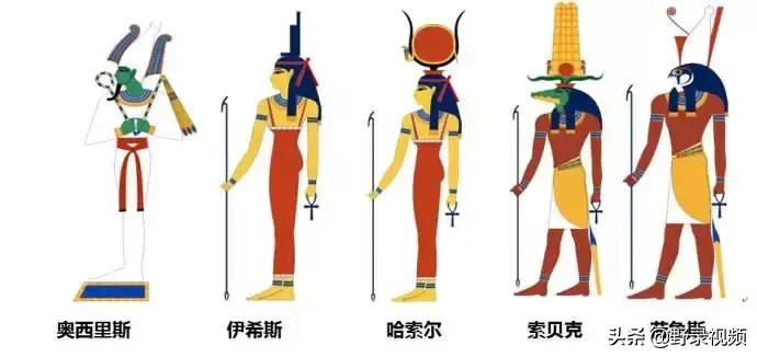 把非洲鳄界扛把子当宠物养是一种怎样的体验？