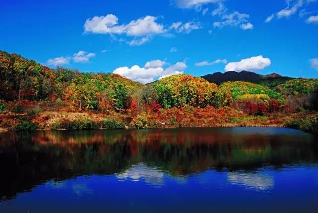 有人问你：哈尔滨哪个区（市）县最大哪个最小？都有啥？你知道不