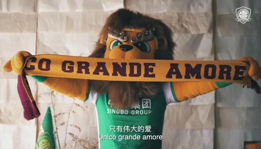 北京国安男足吉祥物京狮,北京中赫国安吉祥物京狮身披绿袍