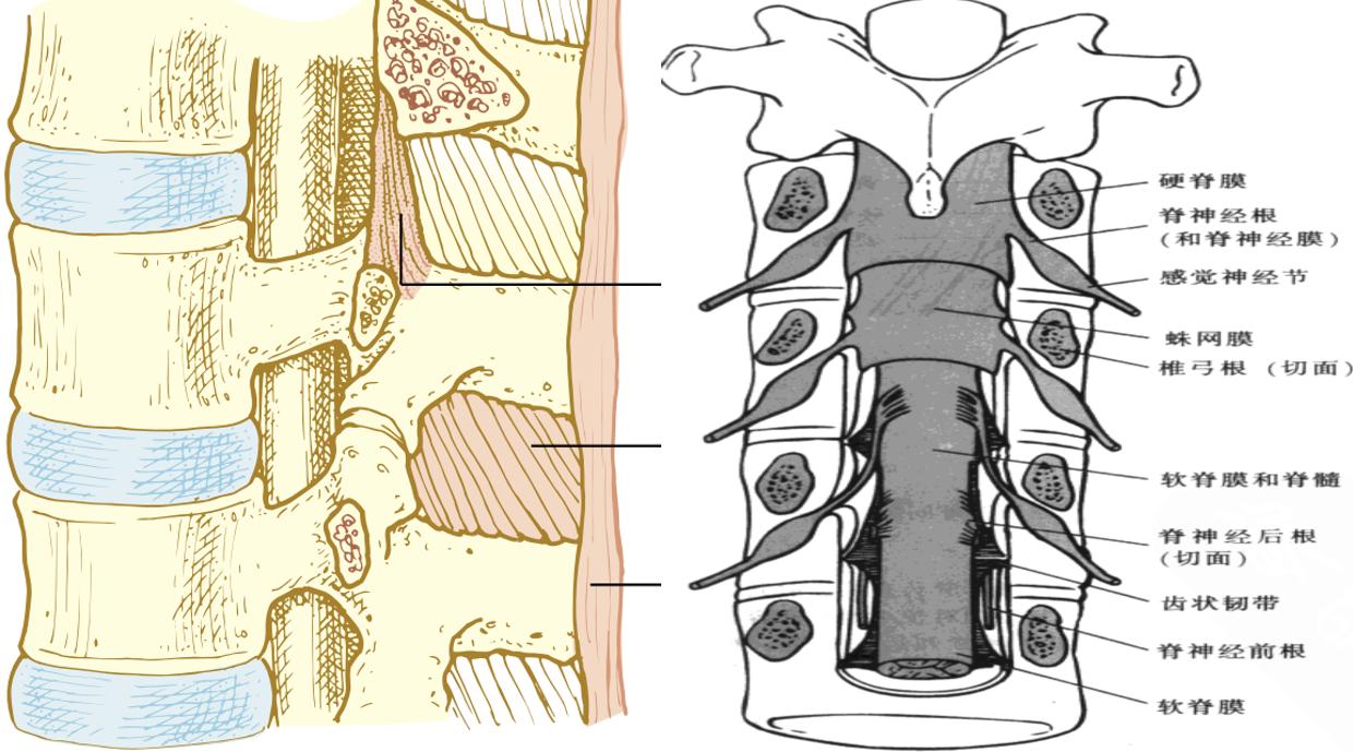 半身麻醉后头痛,麻醉后疼痛处理方案