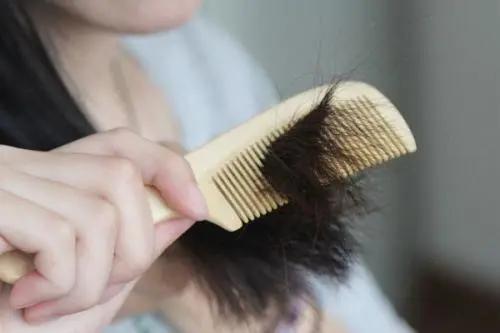 经常拔白头发会不会损伤毛囊,经常拔白头发会有什么后果