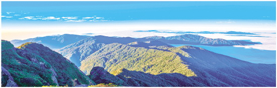 缁挎按闈掑北鏂扮敾鍗风敓鎬佹枃鏄庢柊鏍囨潌,缁挎按闈掑北涓嶅繕鍒濆績