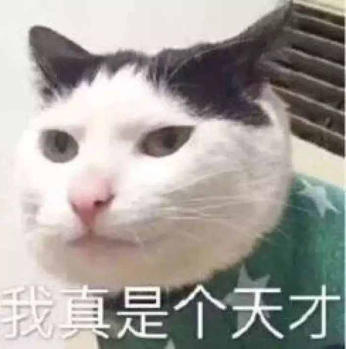 带旅游团去境外的导游证,出境旅游领队证