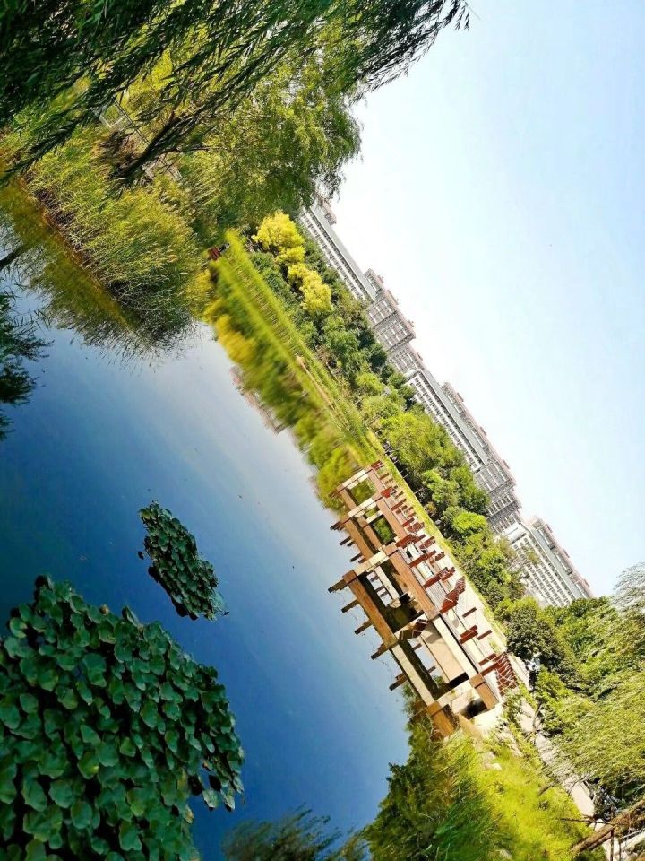 河南财经高校,河南财经政法大学11系