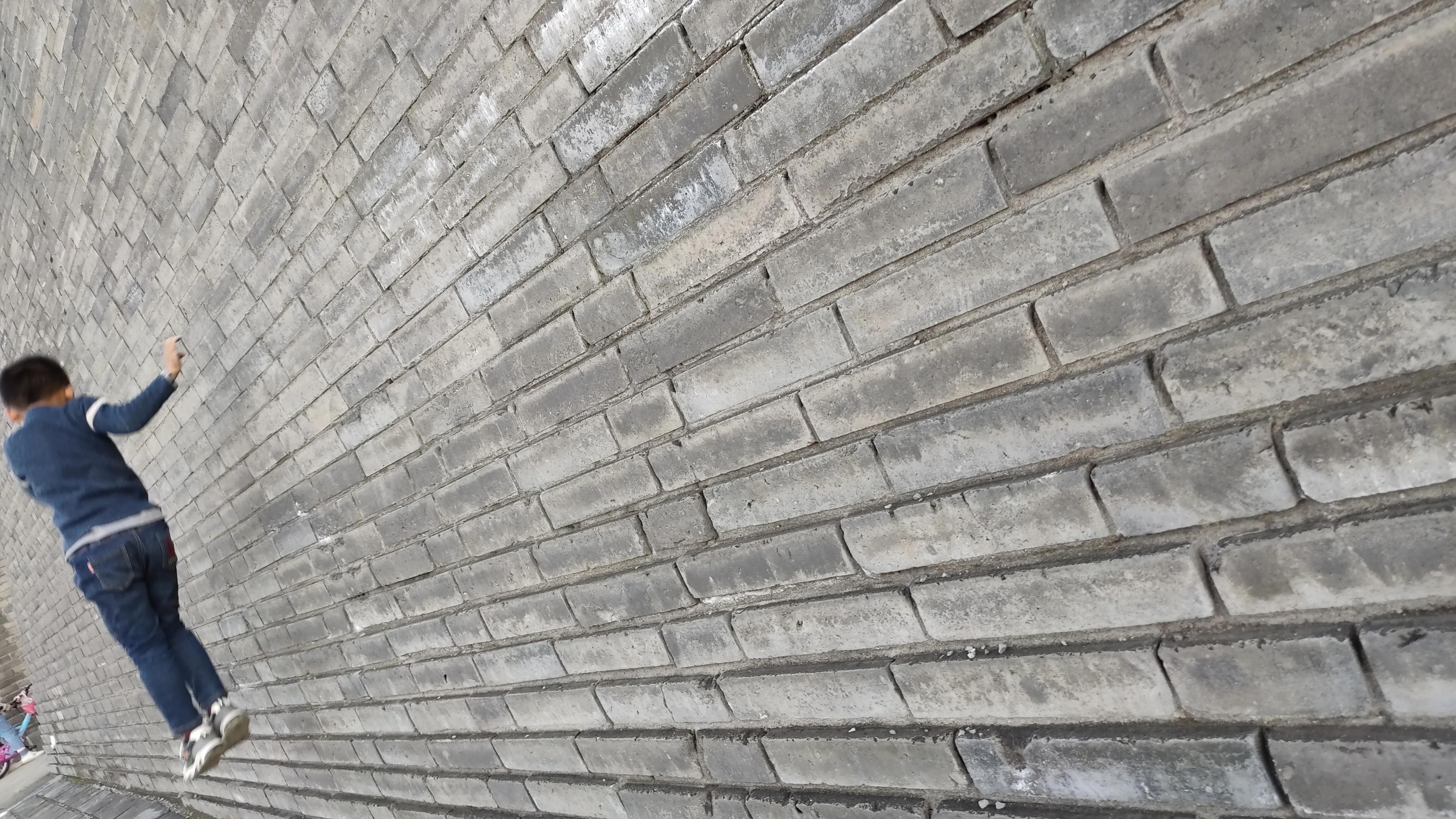 探寻西安大明宫国家遗址公园攻略,西安的大明宫遗址公园