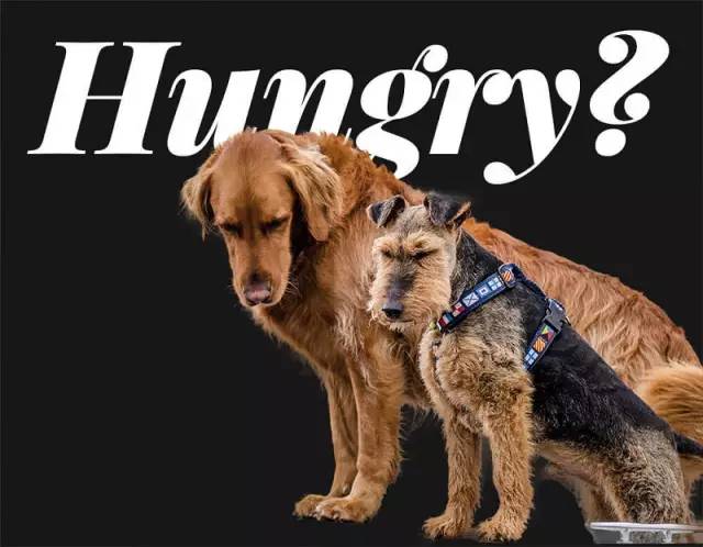 ps抠图头像最快又完整的方法,ps抠图最简单最快的方法