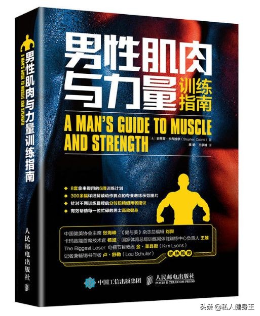 5种锻炼核心力量的动作,5个功能性训练动作