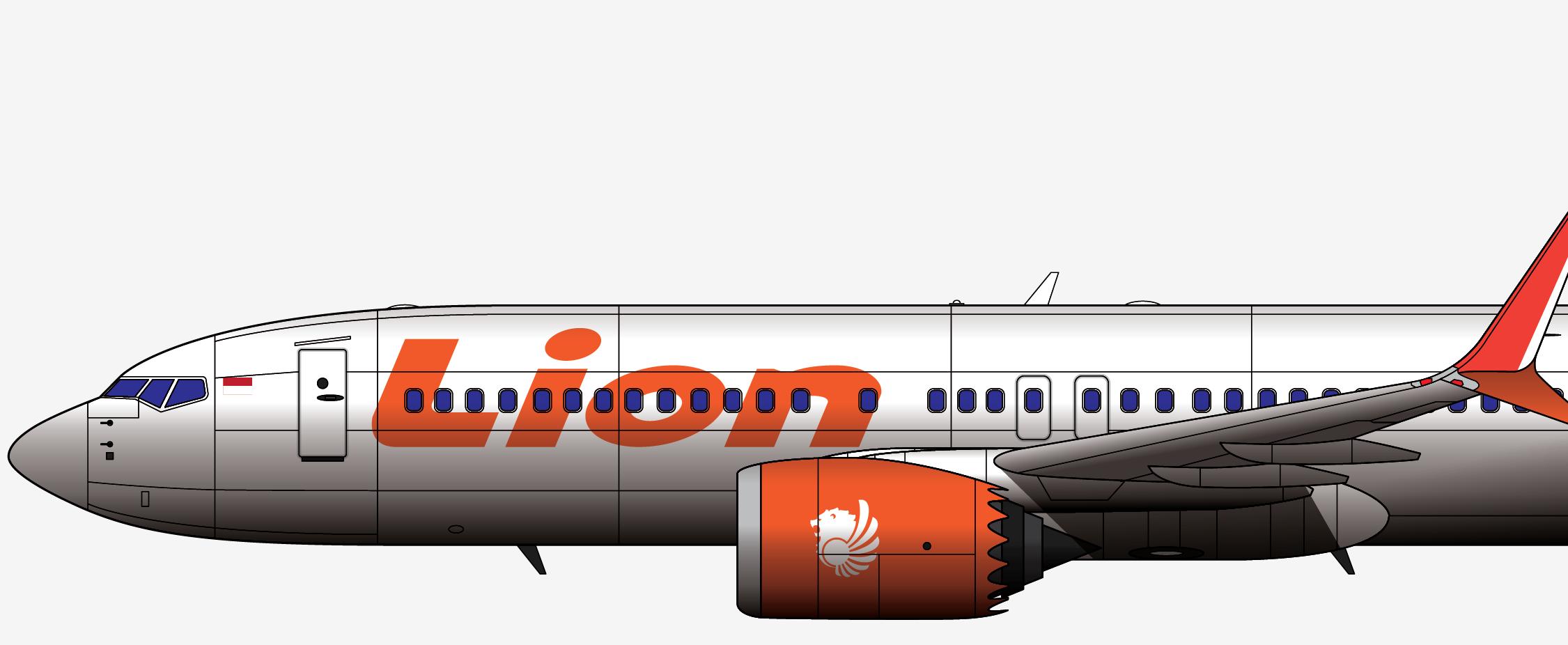 鐙埅737max绌洪毦鍘熷洜鐓х墖,鍗板凹鐙瓙737max绌洪毦