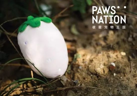 全球宠物展览会举办最多的地方,十月宠物展会时间表