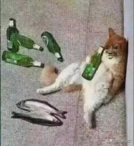 二手房东骗钱可以曝光吗,二手房东租房子的猫腻