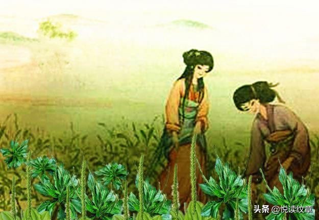 璇楃粡鍥介鍛ㄥ崡鑺ｈ嫝,璇楃粡鍛ㄥ崡鑺ｈ嫝鑳岃