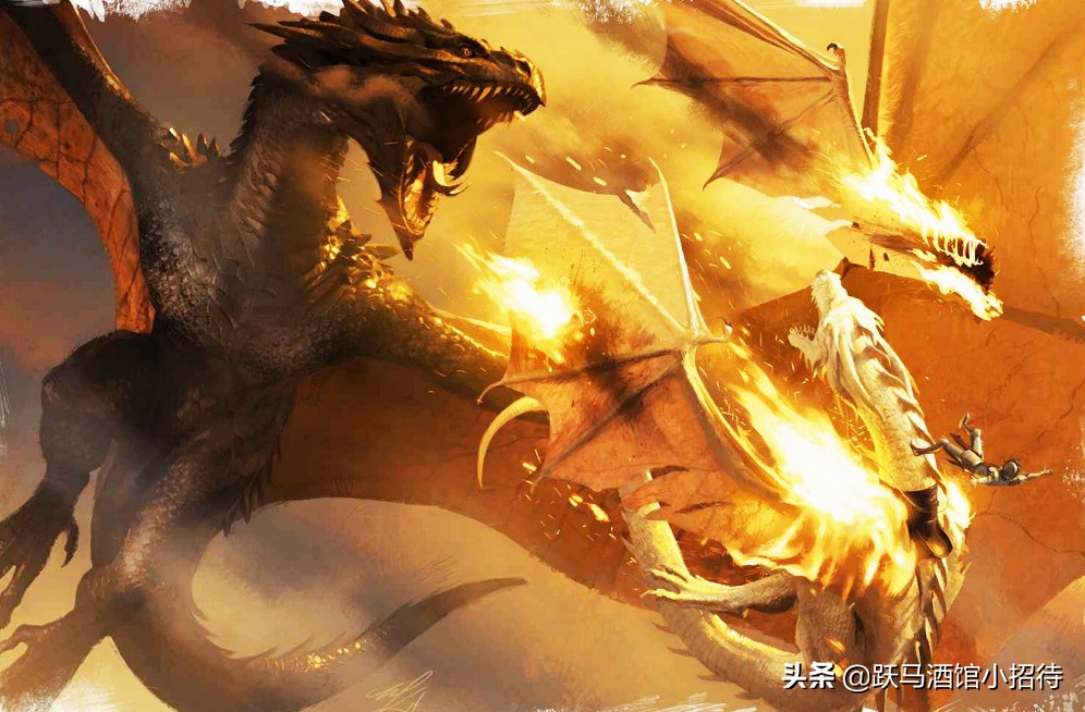 冰与火之歌坎尼会战,冰与火之歌各个家族的分布地