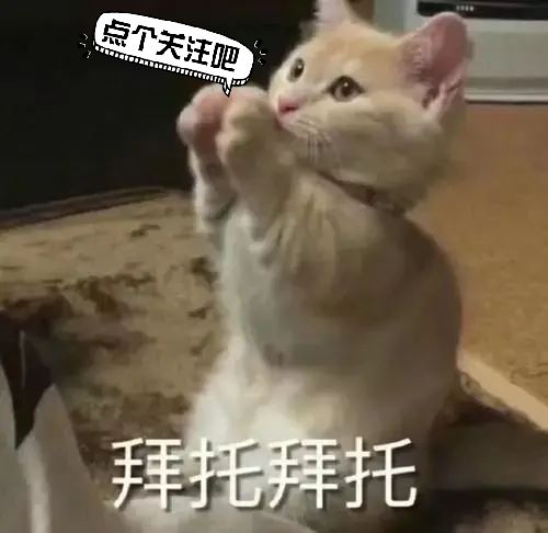 最新都市小说收藏榜前十，万族之劫第三，第一序列第二，谁是第一