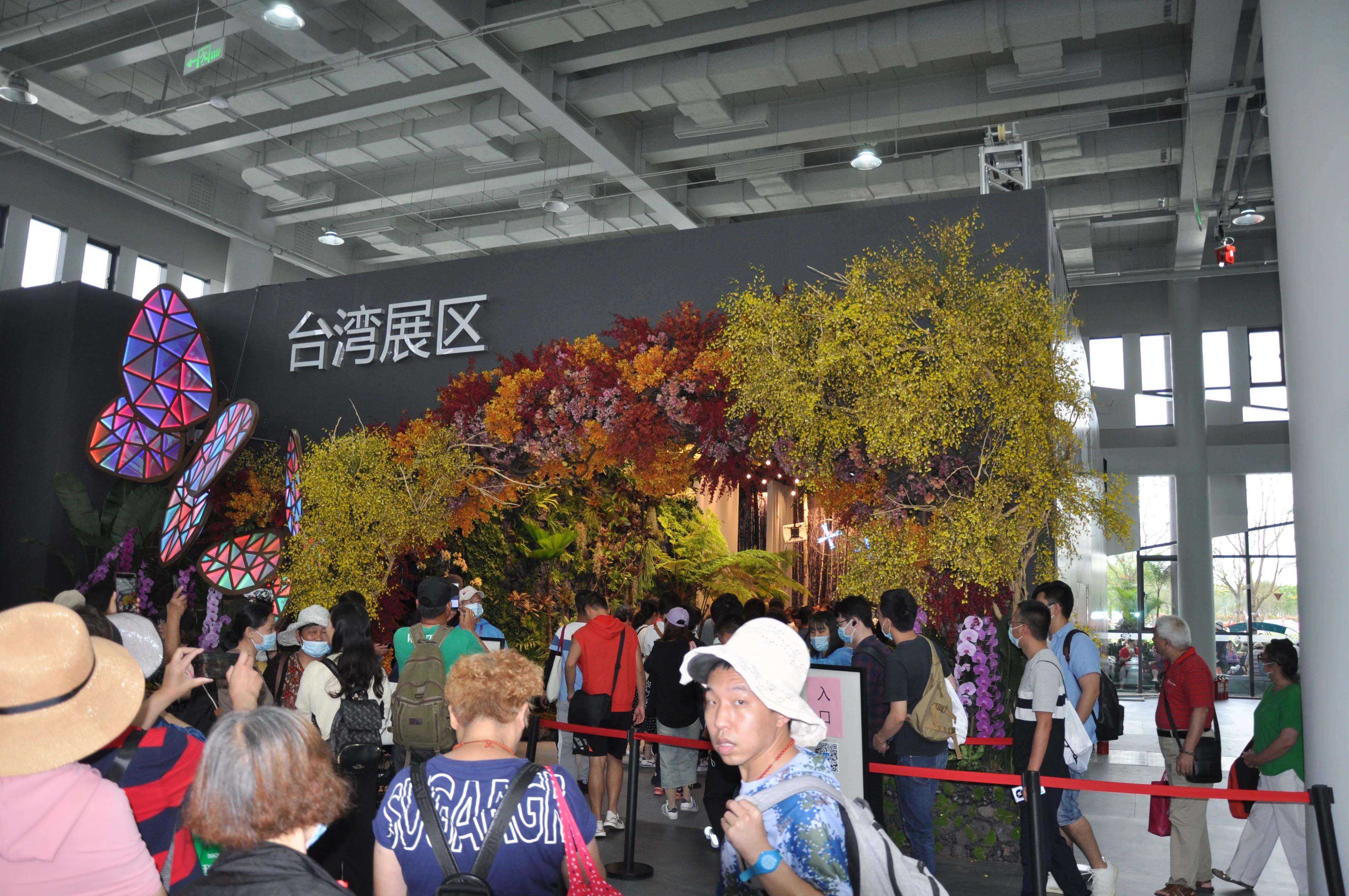 漳州东南花都花博会巡游,花博会花神巡游打卡