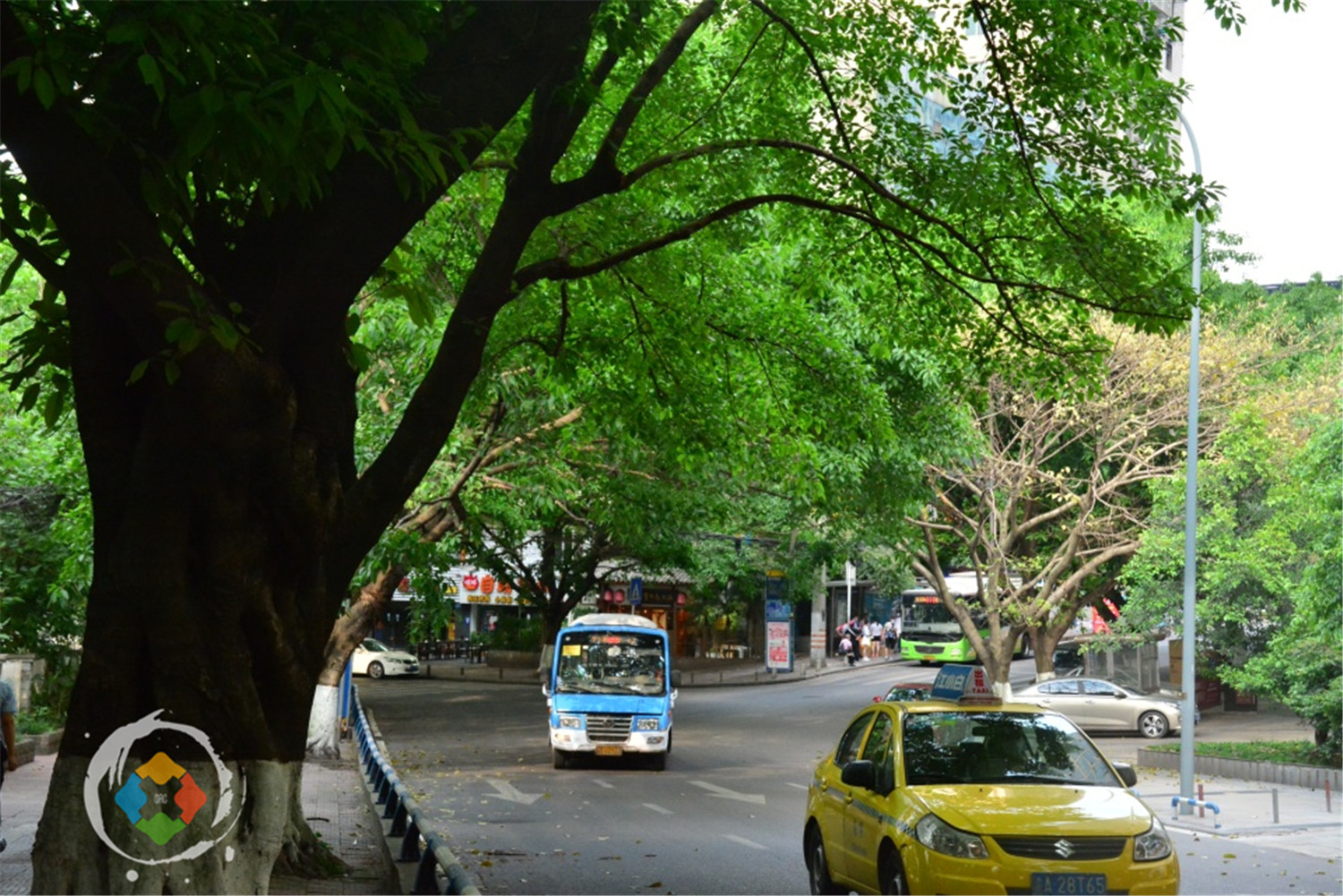 重庆主城区是否要调整,重庆主城都市区为何那么大