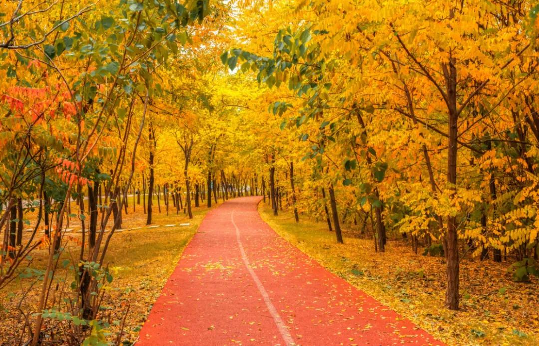 天津蓟州必去十大免费景点,天津旅游景点大全免费游玩