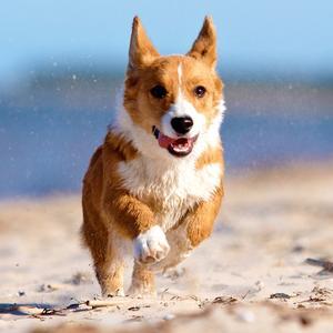 微信群里入*局骗**，我挣*子骗**100多