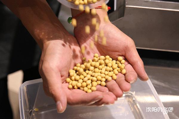 火爆南方的潮店空降沈阳!豆浆里还能加朗姆酒?醉了