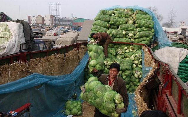 北京只有100个亿万富豪吗,北京的千万富翁有多少个