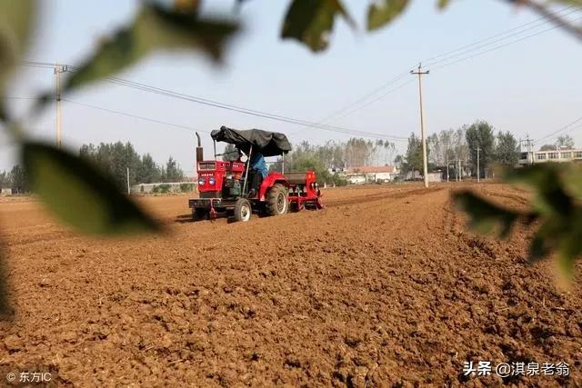 小麦条播怎么播,小麦撒播高产还是条播高产