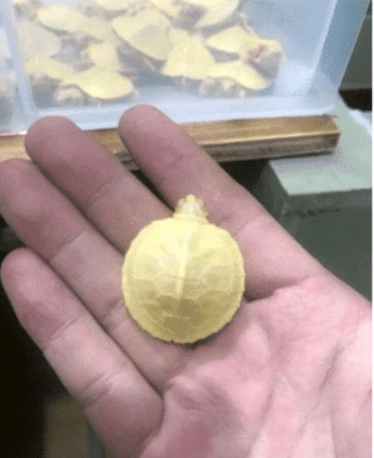 朋友欠我2万块钱能要回来吗,朋友欠了我200块钱