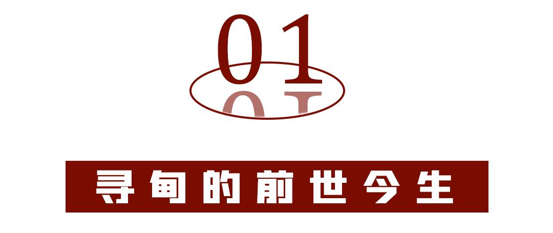为什么，我一定要劝你来寻甸
