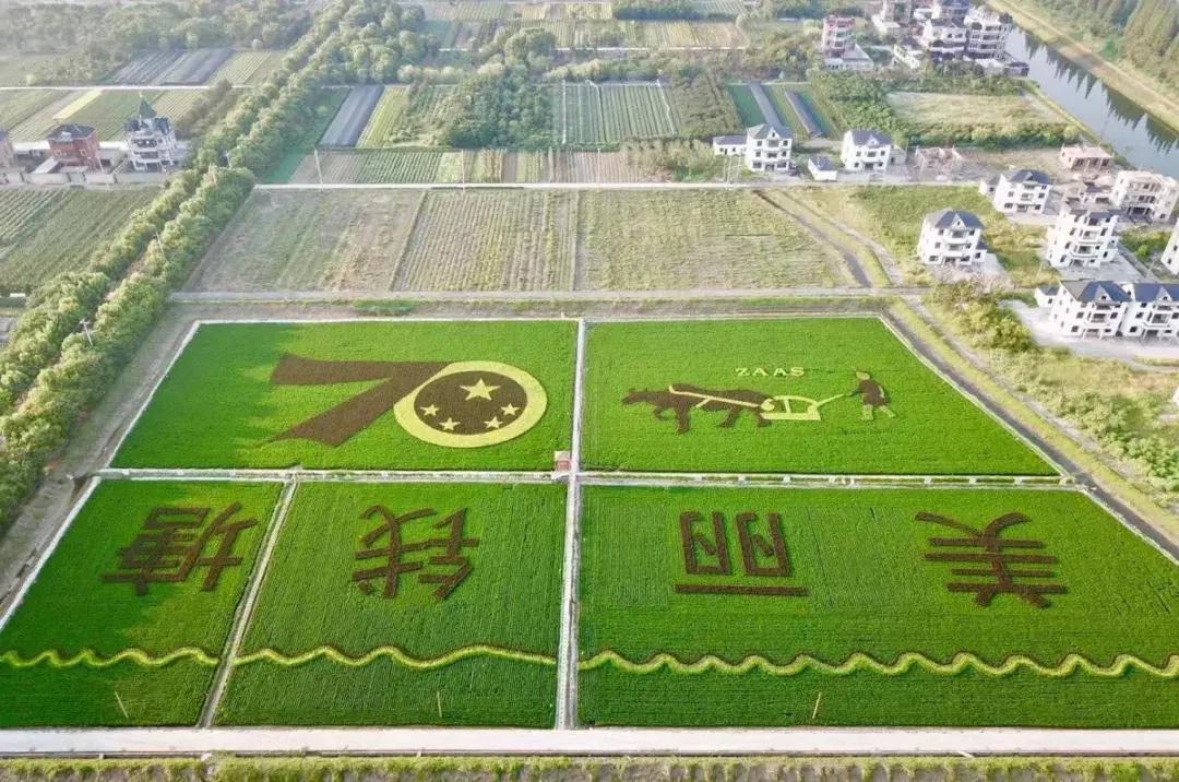 钱塘江大潮图画,钱塘江大潮的壮观景象手绘